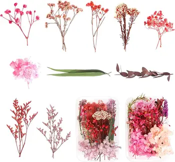 2-10 Kutije Sušenog cveća Pravi prirodni prešani cvjetni listovi Materijala za diy svojim rukama Cvjetne dekoracije za rukotvorina od smole Izrada svijeća